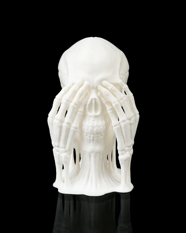 Crânes imprimés en 3D – Ne rien entendre, ne rien voir, ne rien dire 2.webp